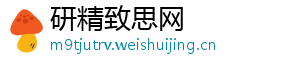 研精致思网